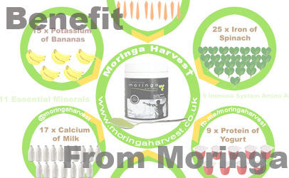 Find out about the benefits of taking Moringa