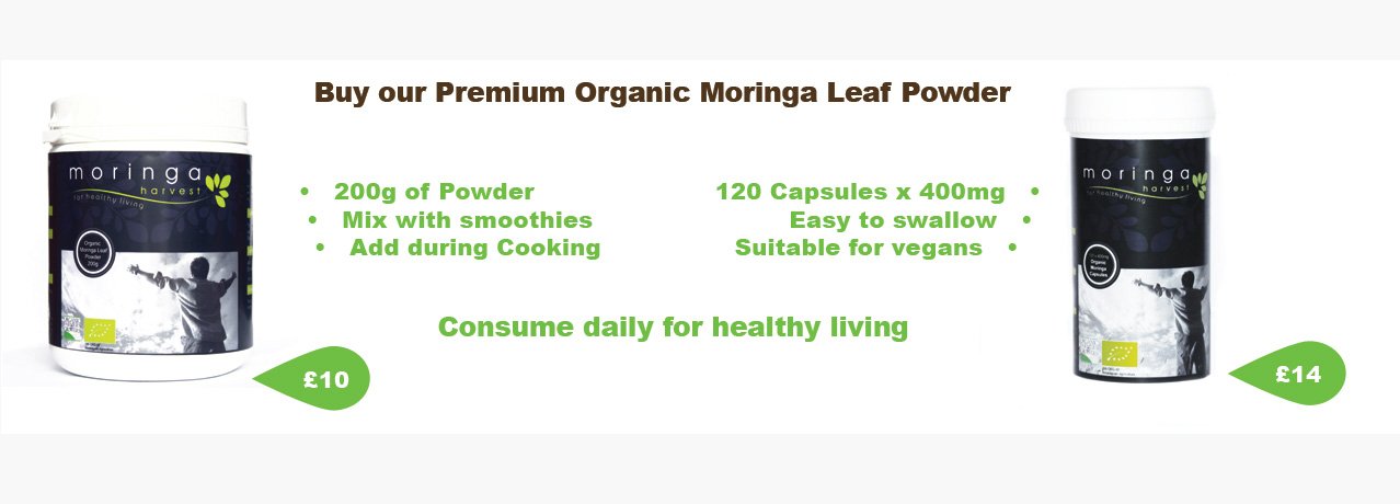 Buy our organic Moringa from just £17.99